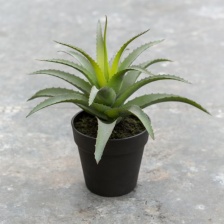 Faux  Aloe in a Pot by Grand Illusions